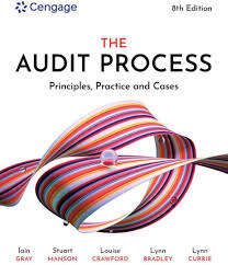 The Audit Process 8ed